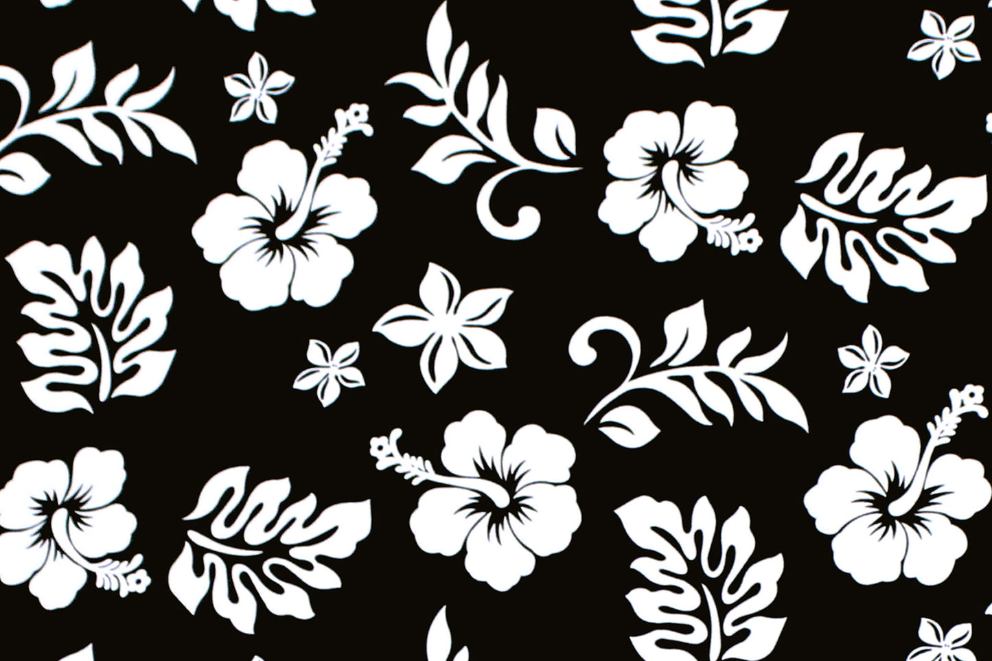 CAA1315 Black