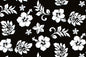 CAA1315 Black
