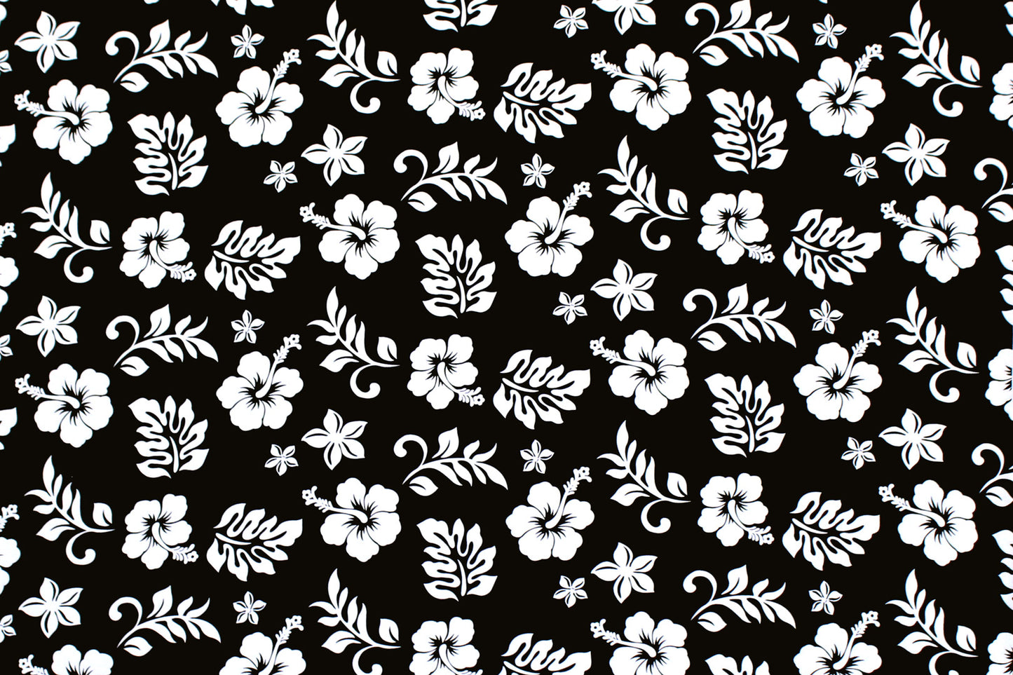CAA1315 Black
