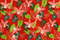 CAA1318 Red