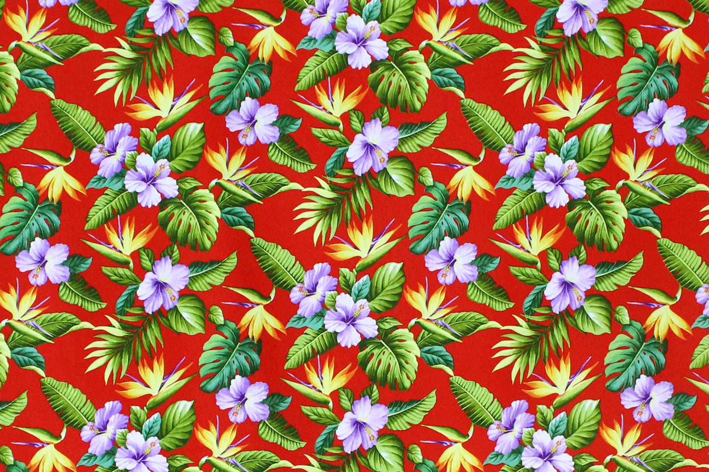 CAA1328 Red