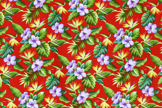 CAA1328 Red
