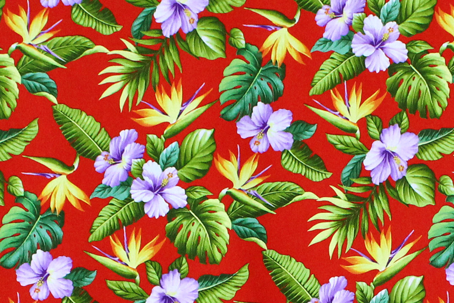 CAA1328 Red