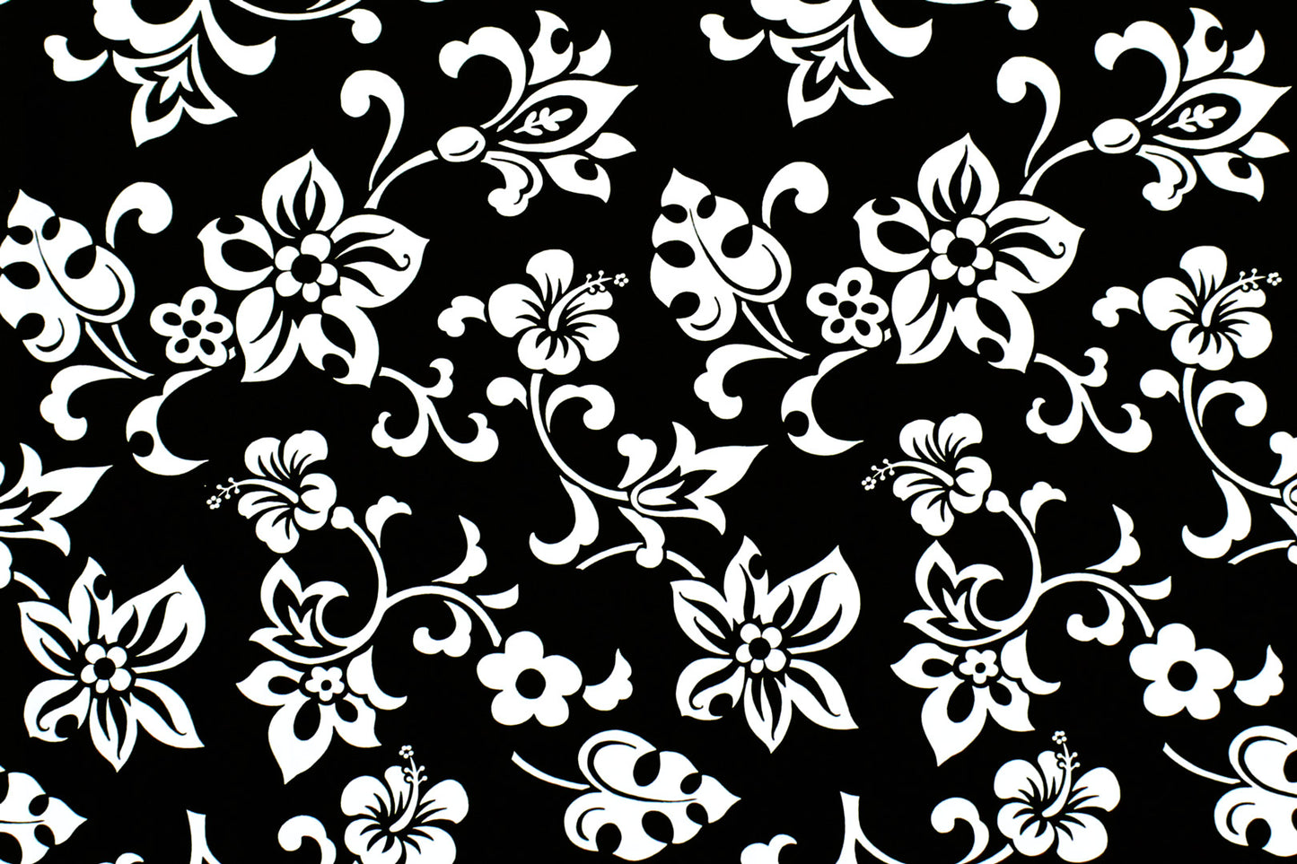 CAA1329 Black