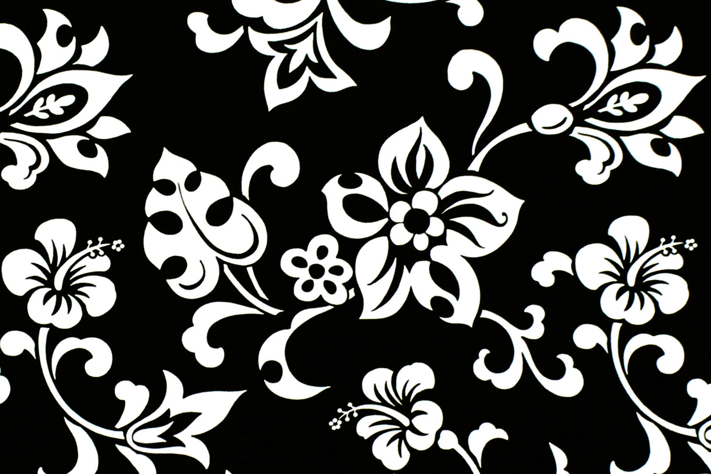 CAA1329 Black