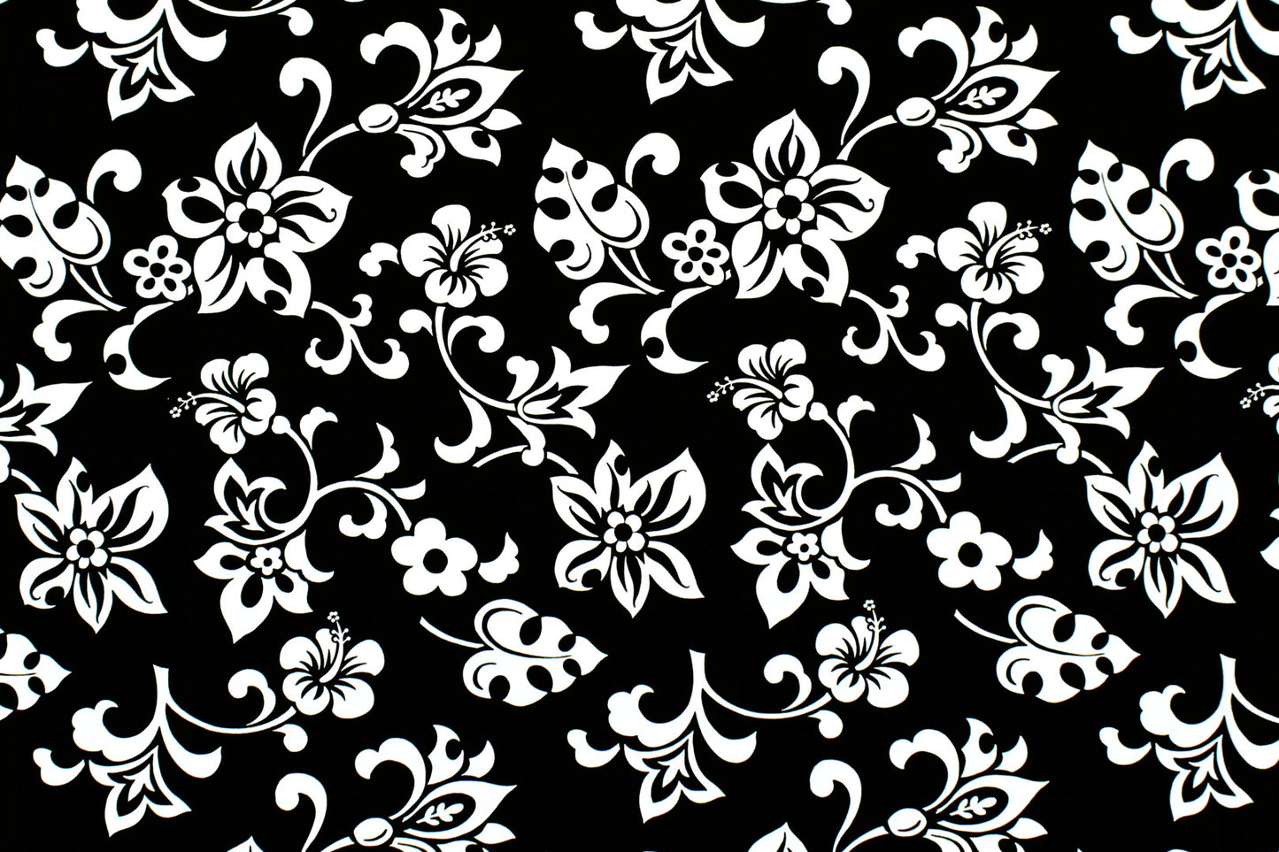CAA1329 Black