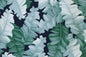 CAA1335 Navy
