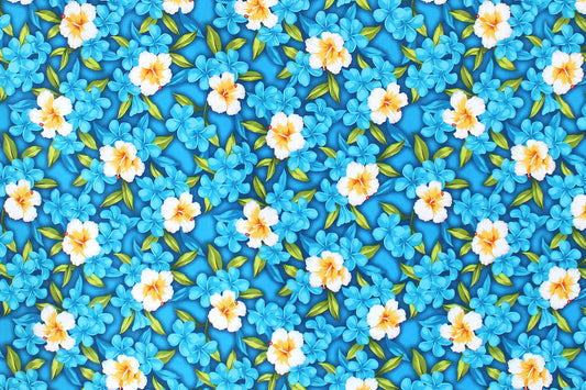 CAA1336 Aqua