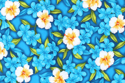 CAA1336 Aqua