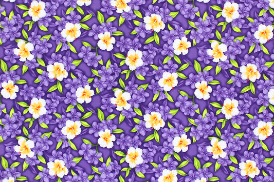 CAA1336 Grape