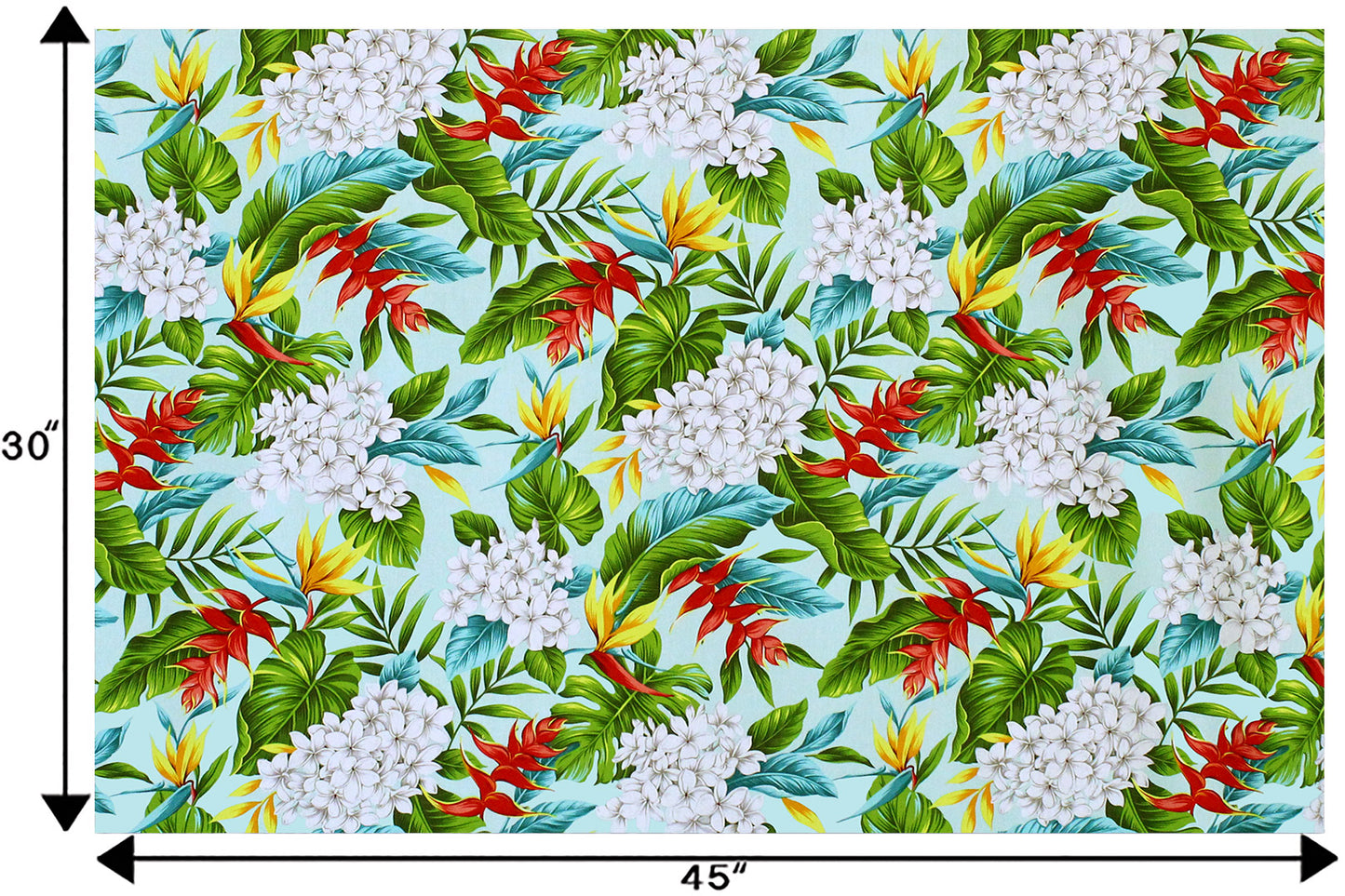 CAA1341 Mint