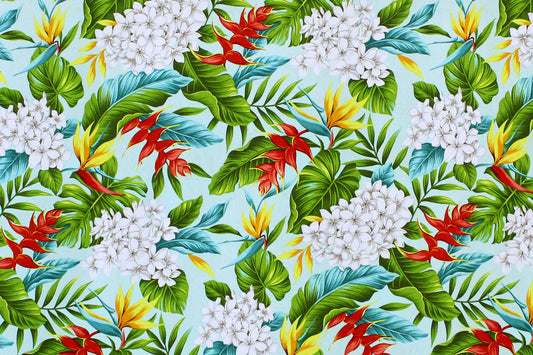 CAA1341 Mint