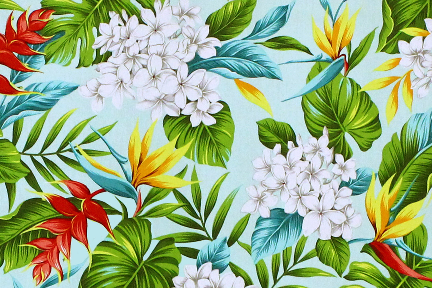 CAA1341 Mint
