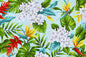 CAA1341 Mint