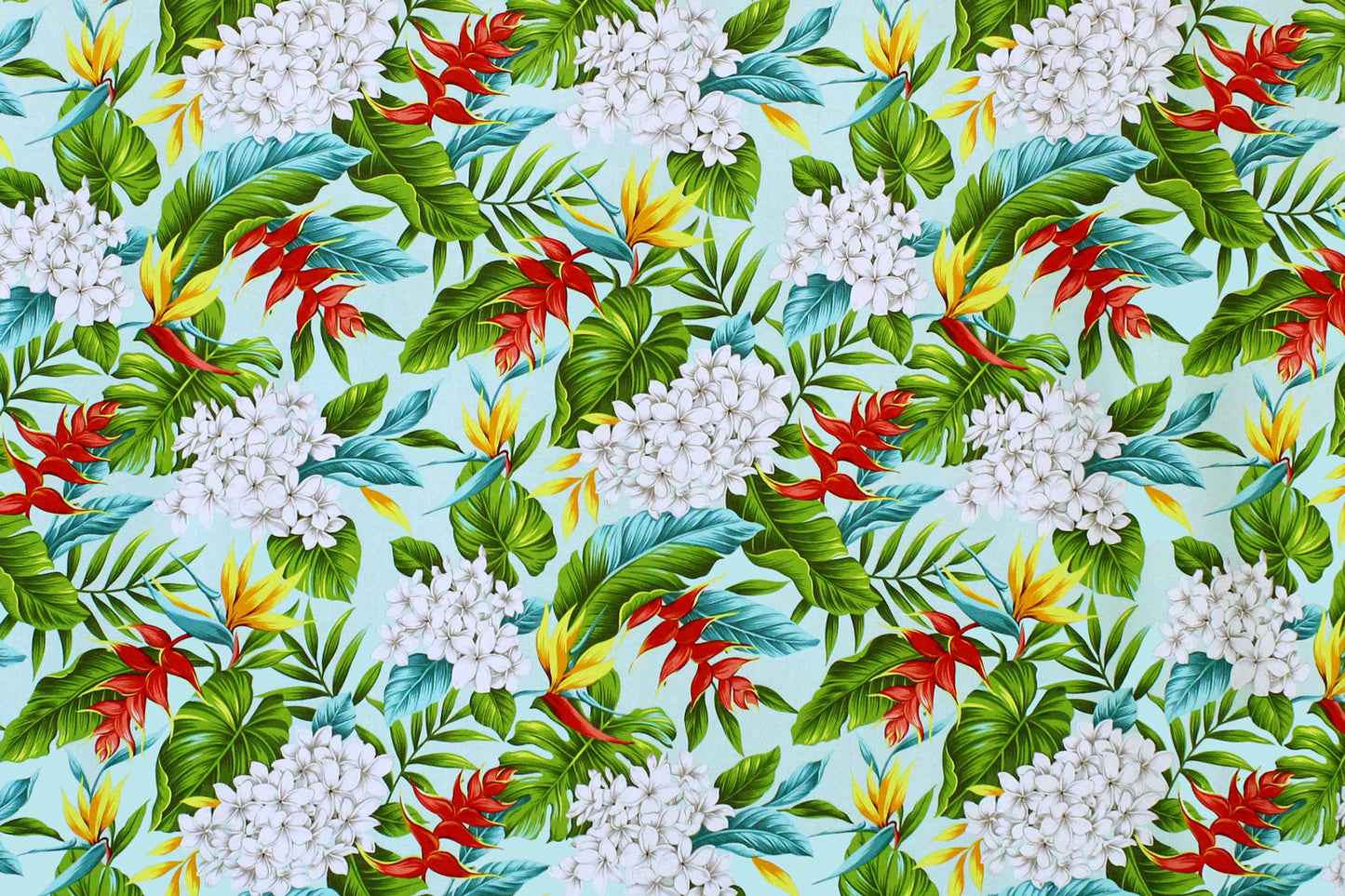 CAA1341 Mint