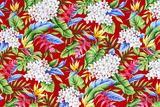 CAA1341 Red