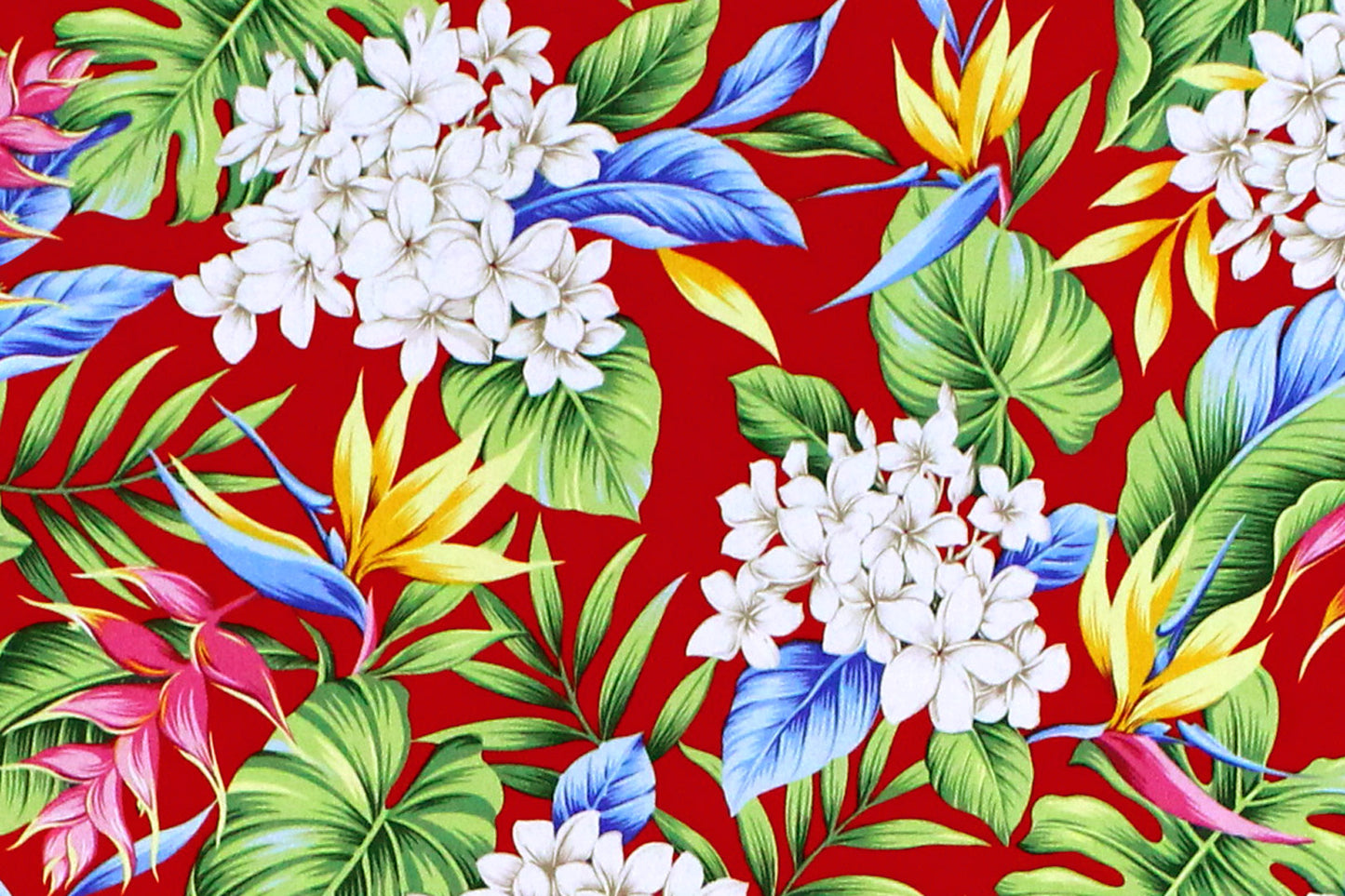 CAA1341 Red