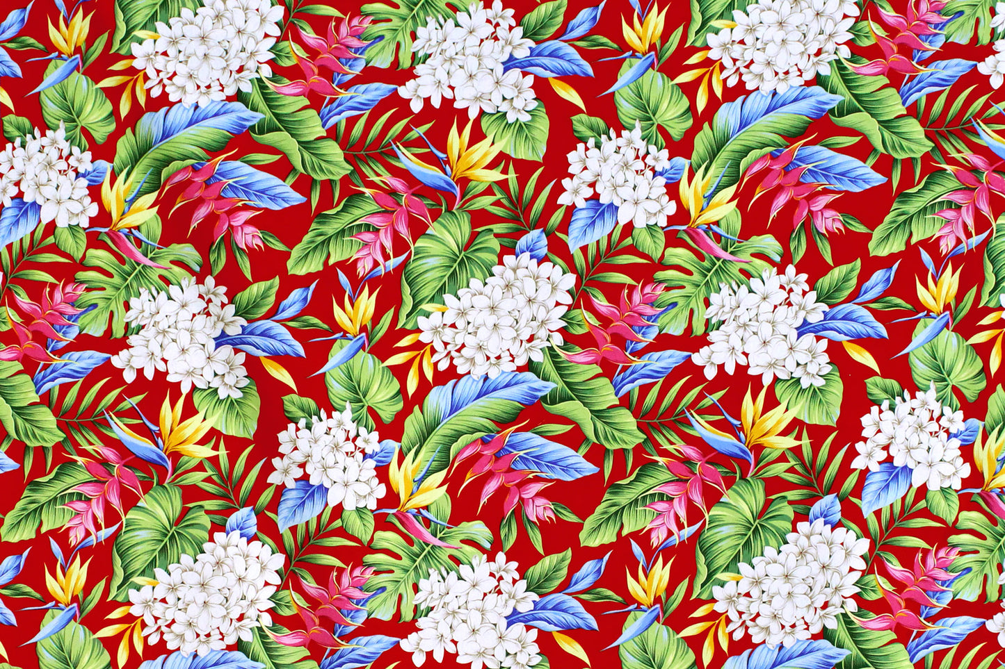 CAA1341 Red