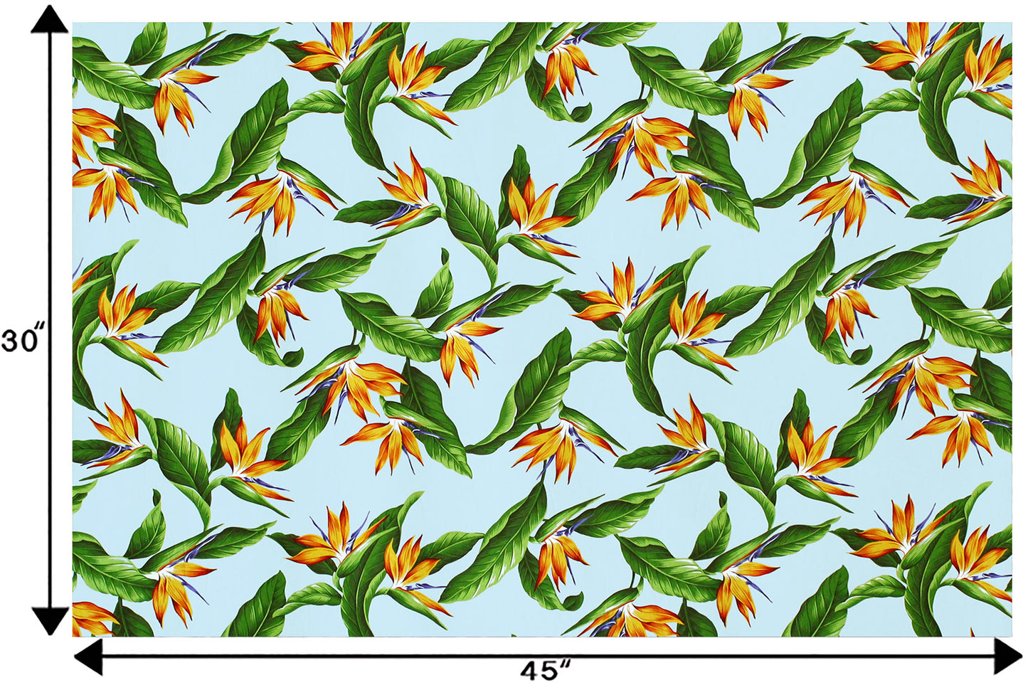 CAA1342 Aqua