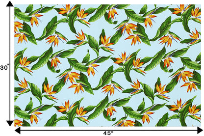 CAA1342 Aqua