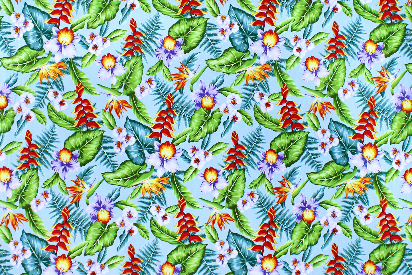 CAA1352 Sky Blue