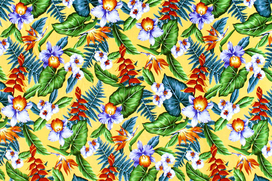 CAA1352 Yellow