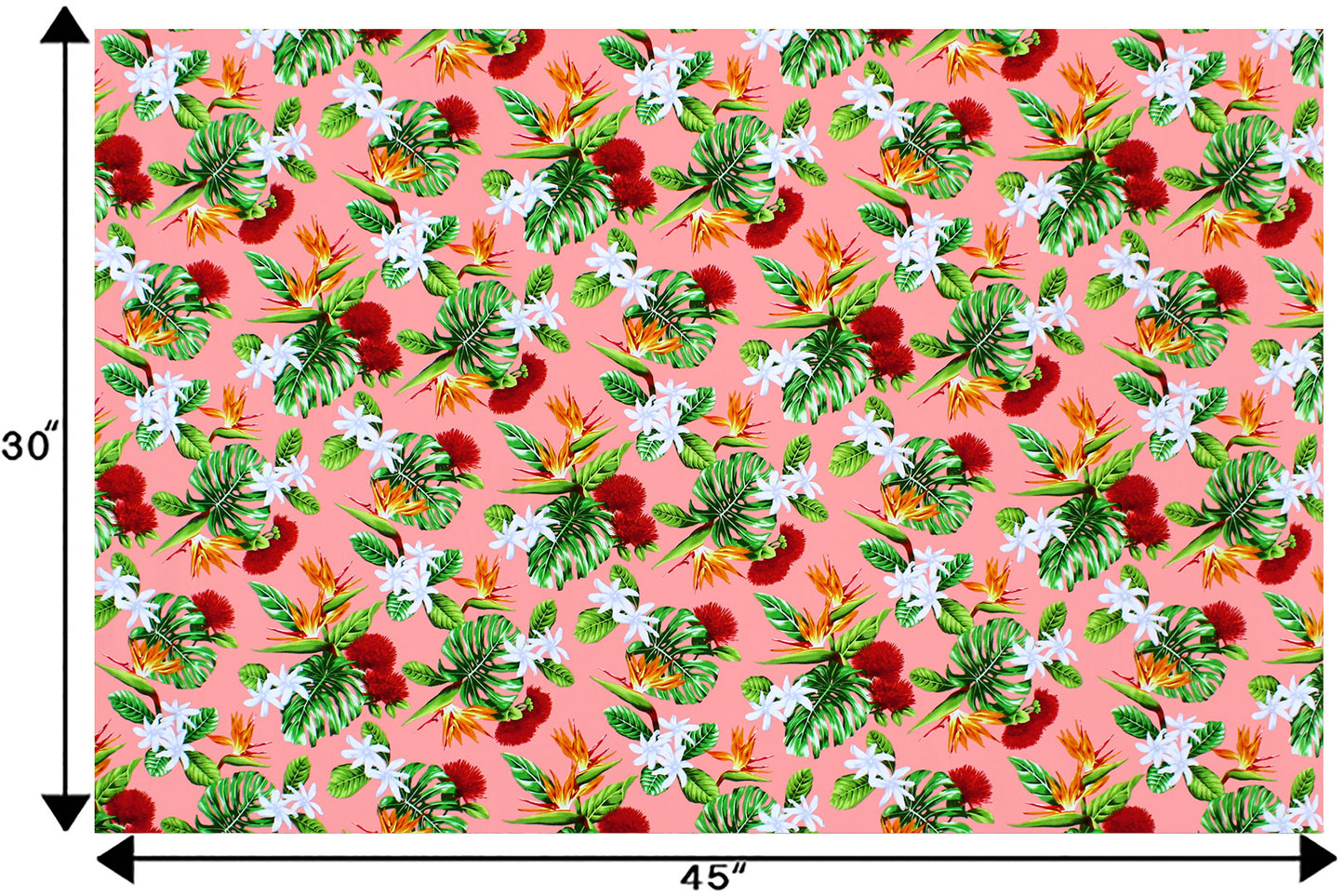 CAA1354 Coral