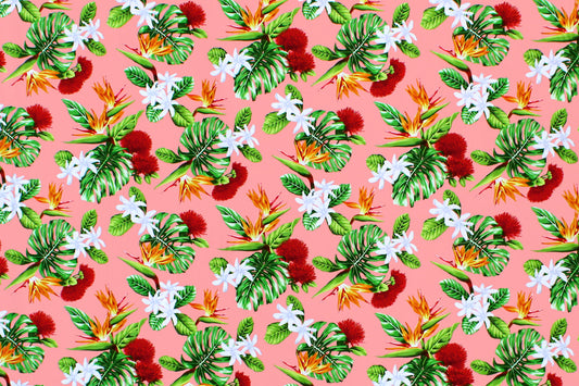 CAA1354 Coral