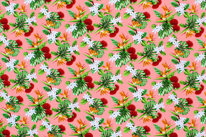 CAA1354 Coral