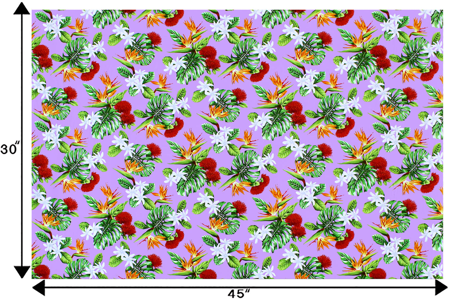 CAA1354 Lavender