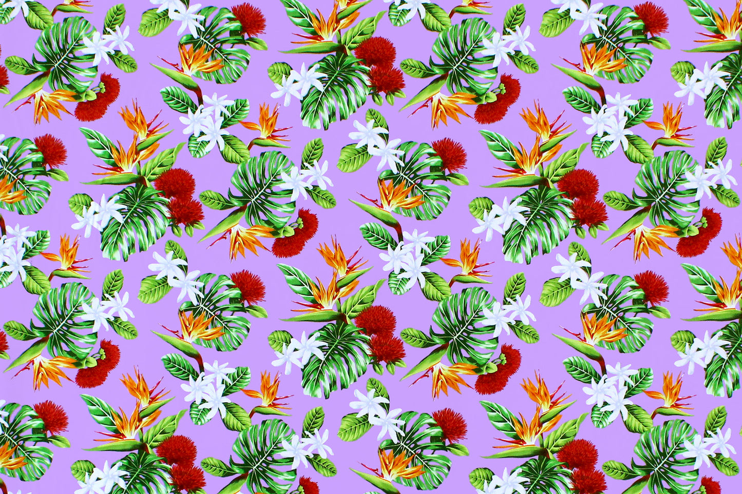 CAA1354 Lavender