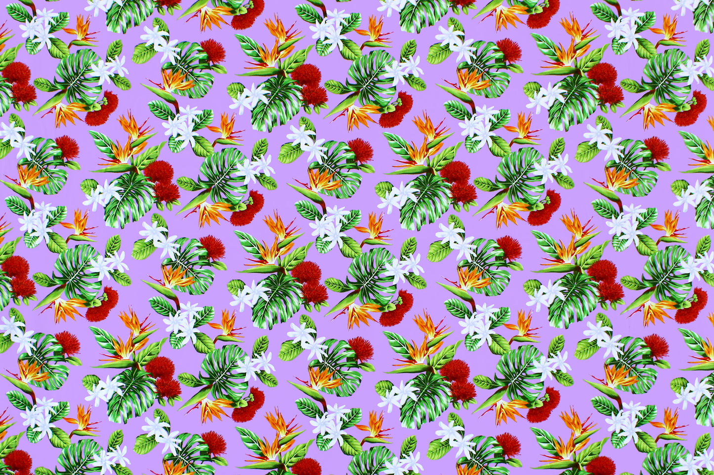 CAA1354 Lavender