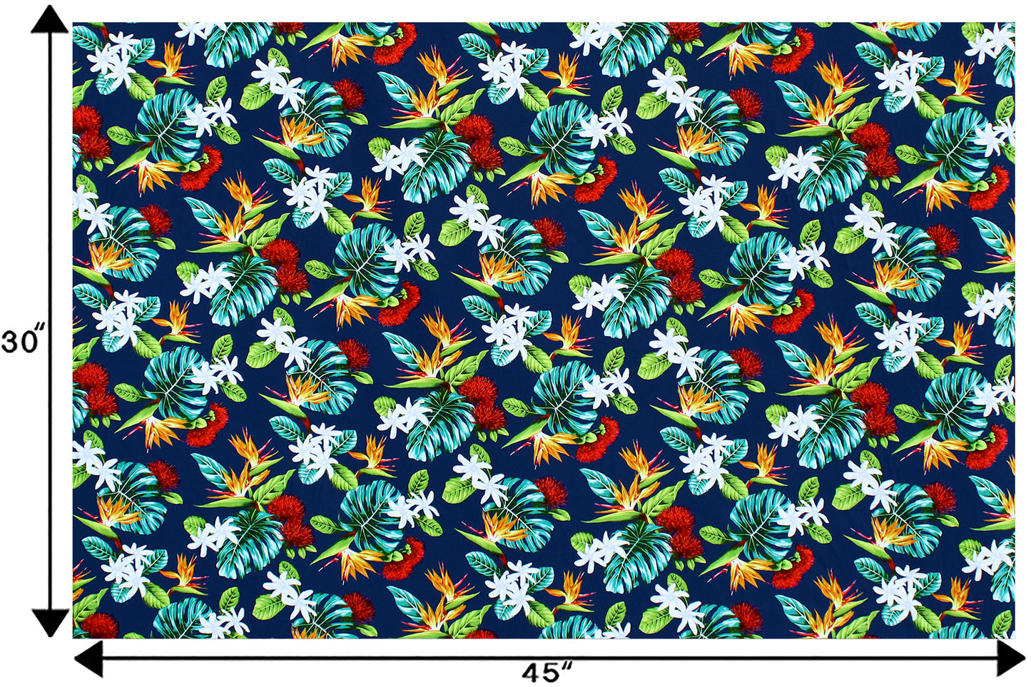 CAA1354 Navy