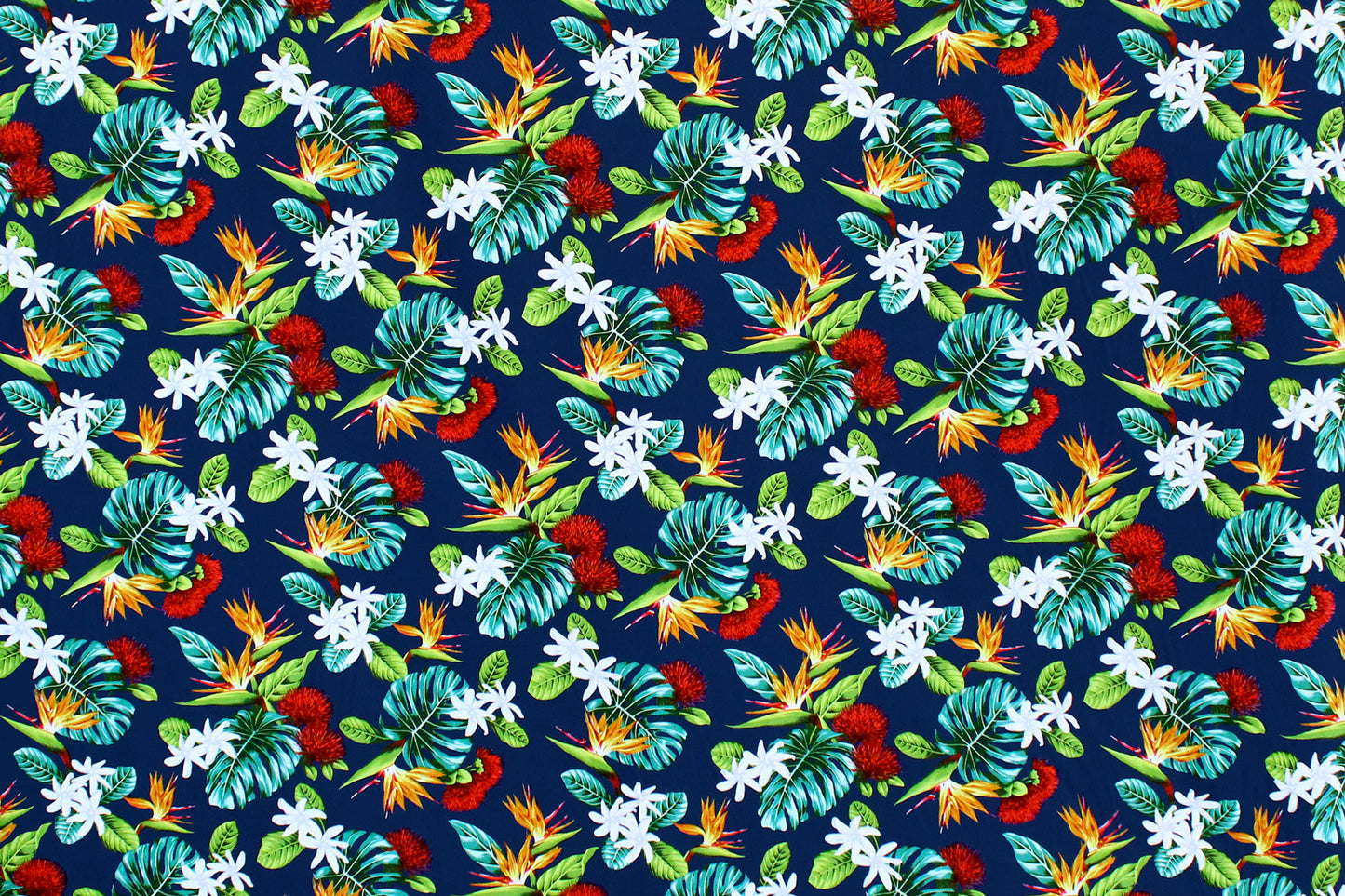 CAA1354 Navy