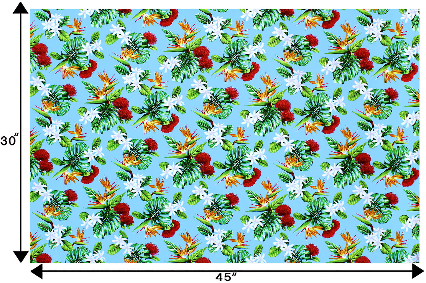CAA1354 Turquoise