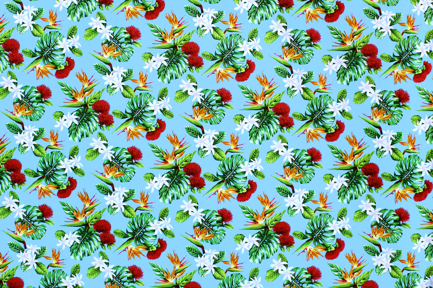 CAA1354 Turquoise
