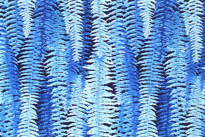 CAA1355 Blue