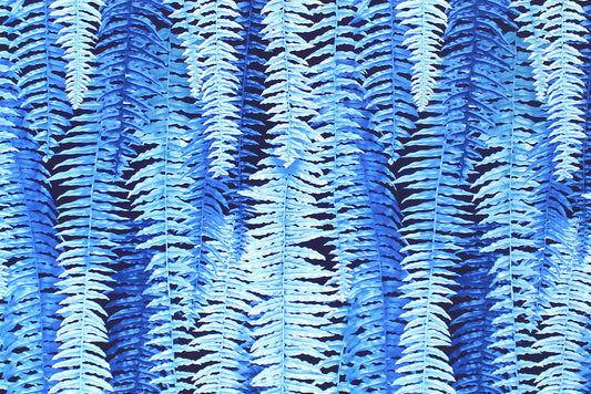 CAA1355 Blue
