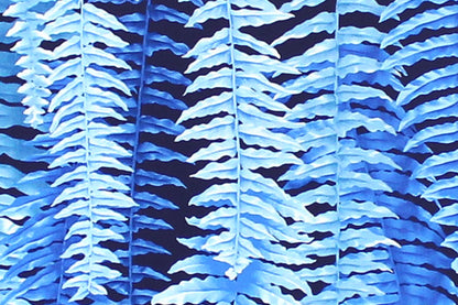 CAA1355 Blue