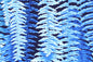 CAA1355 Blue