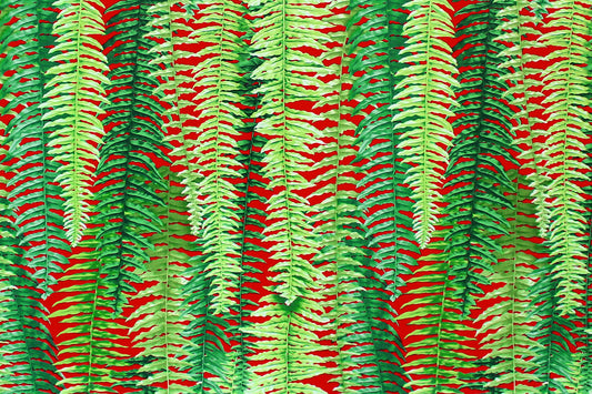 CAA1355 Red/Green