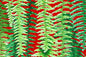 CAA1355 Red/Green