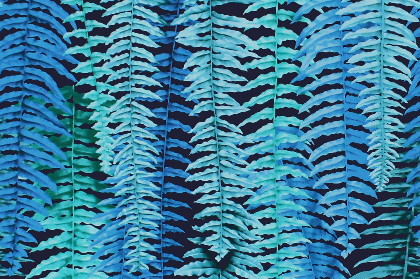 CAA1355 Teal