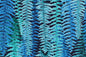 CAA1355 Teal