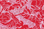 CAA1358 Red