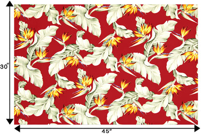 CAA1376 Red