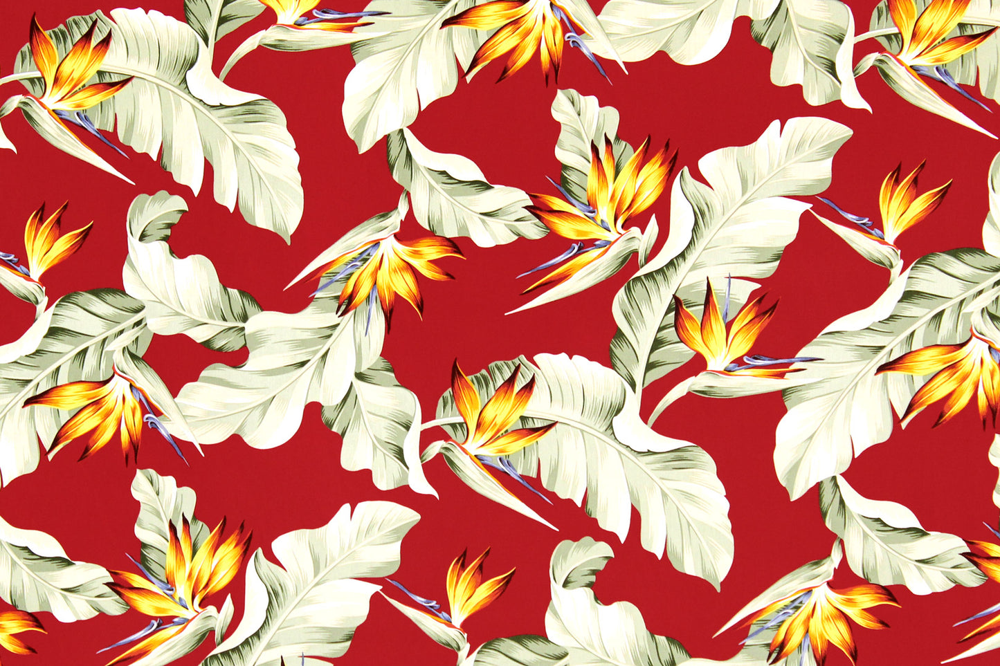 CAA1376 Red