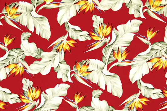 CAA1376 Red
