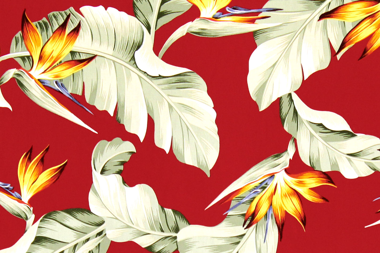 CAA1376 Red
