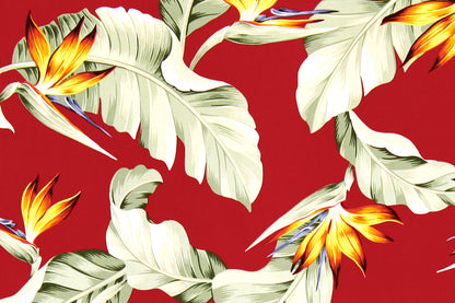 CAA1376 Red